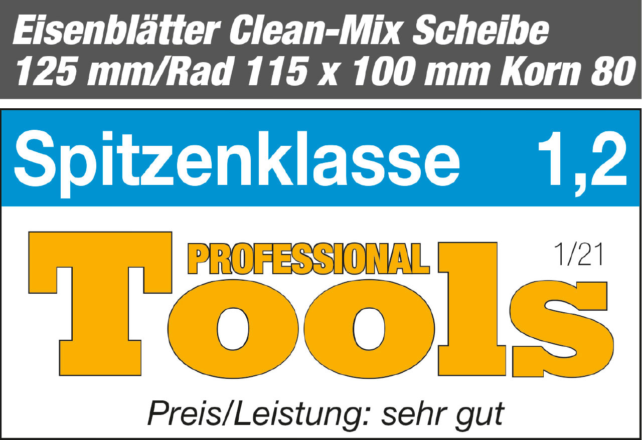 Eisenblätter MAGNUM® CLEAN-MIX Reinigungsscheibe 125 x M14, K 80
