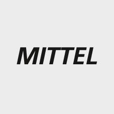 Nölle Langstielhandfeger PRESTIGE 430 mm
