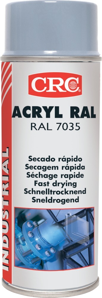 ACRYLIC PAINT Farblackspray