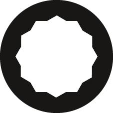 Forum Ringmaulschlüssel-Satz DIN3113B 9-teilig 8-24mm