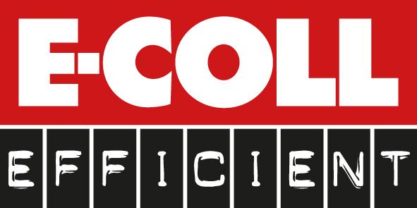 E-Coll Sprühfett 400ml Efficient WE