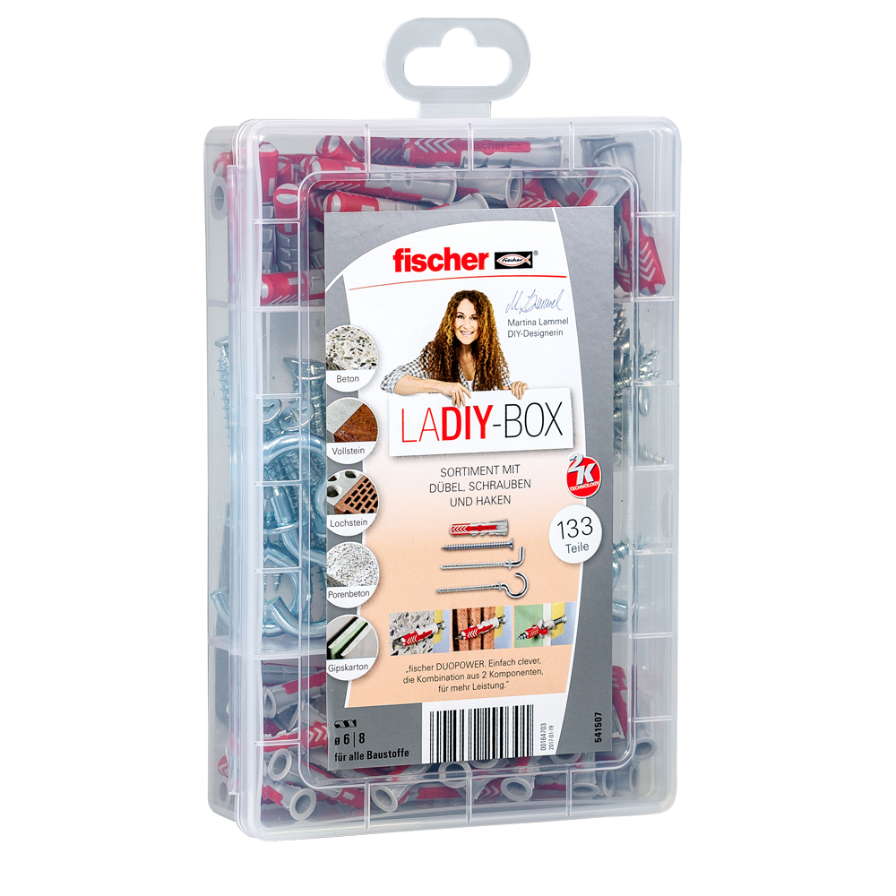 fischer Meister-Box DuoPower + Schraube + Haken (133 Teile)
